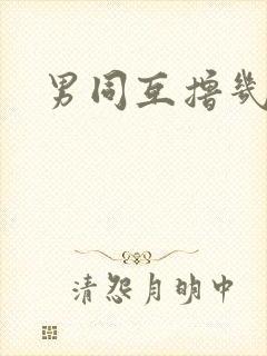 男同互撸几把封面