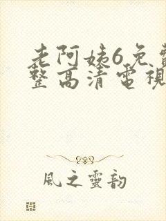 老阿姨6免费完整高清电视剧封面