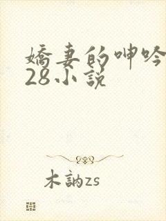 娇妻的呻吟1—28小说