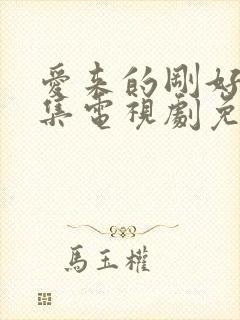 爱来的刚好60集电视剧免费观看