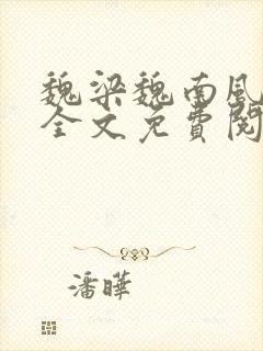 魏梁魏南风po全文免费阅读笔趣阁封面