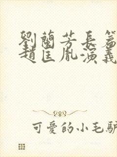 刘兰芳长篇评书赵匡胤演义