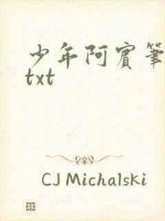 少年阿宾笔趣阁txt封面