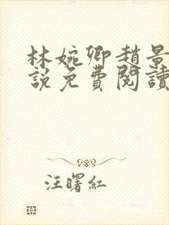 林婉卿赵景玄小说免费阅读最新章节