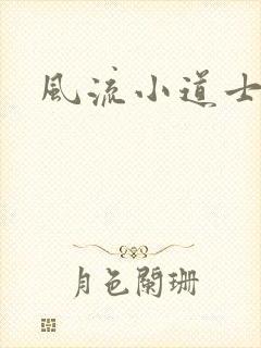风流小道士