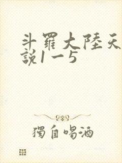 斗罗大陆天狂传说1一5