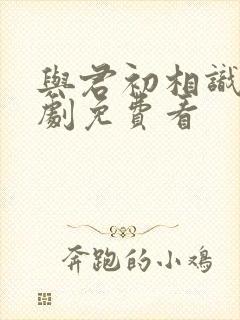 与君初相识电视剧免费看