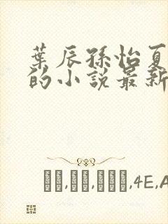 叶辰孙怡夏若雪的小说最新