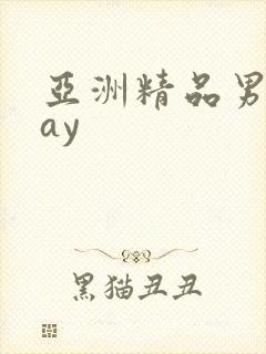 亚洲精品男同gay