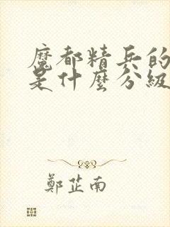 魔都精兵的奴隶是什么分级