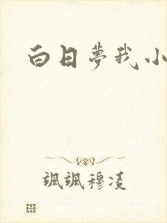 白日梦我小说