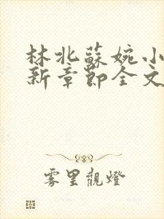 林北苏婉小说最新章节全文阅读封面