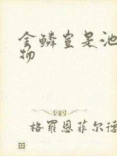 金鳞岂是池中之物封面