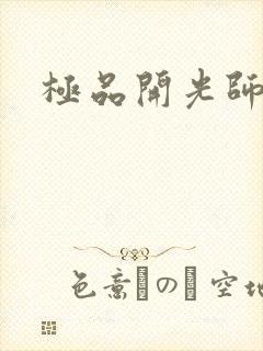 极品开光师