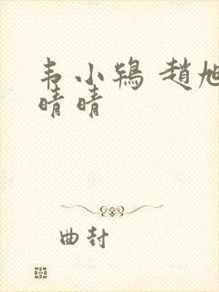 韦小鸨 赵旭李晴晴封面