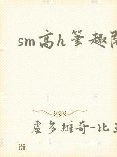 sm高h笔趣阁封面