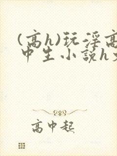 (高h)玩淫高中生小说h文封面