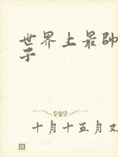 世界上最帅的虫子封面