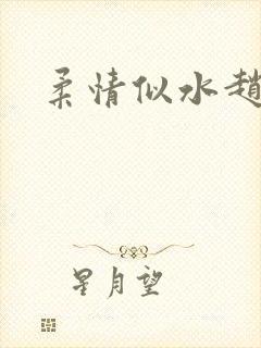 柔情似水赵雅儿封面