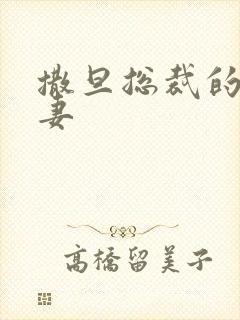 撒旦总裁的下堂妻