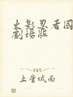 火影忍者国语版剧场版