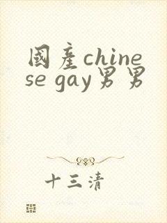 国产chinese gay男男