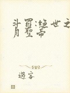 斗罗:绝世之日月圣帝