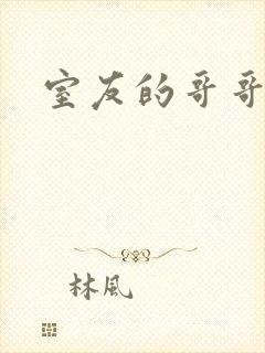 室友的哥哥封面