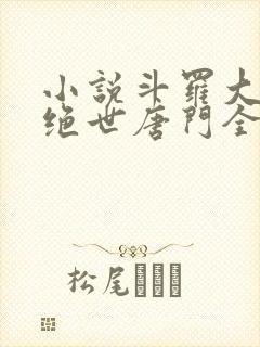 小说斗罗大陆2绝世唐门全文封面