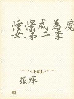 憧憬成为魔法少女.第二季