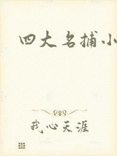四大名捕小说