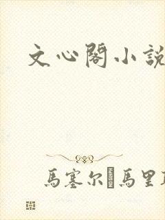 文心阁小说