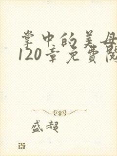 掌中的美母版主120章免费阅读