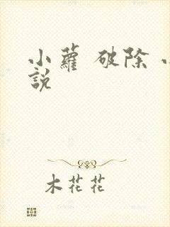 小萝 破除 小说