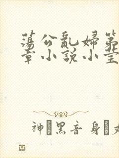 荡公乱妇第51章小说小莹