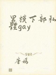男模下部私密裸体gay