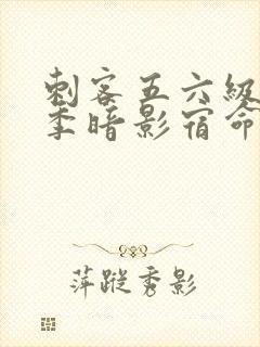 刺客五六级第四季暗影宿命免费观看