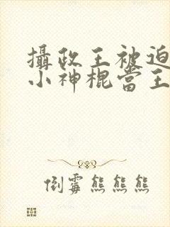 摄政王被迫娶了小神棍当王妃小说封面