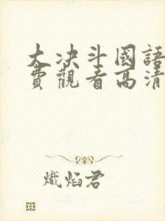 大决斗国语版免费观看高清