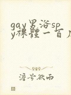 gay男浴spy裸体一百度