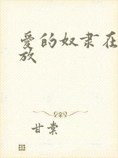 爱的奴隶在线播放