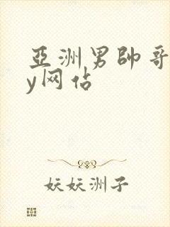 亚洲男帅哥gay网站