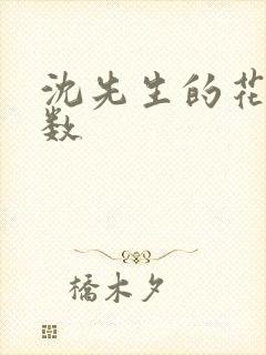 沈先生的花式调数