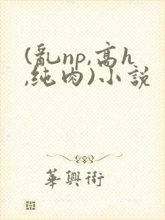 (乱np,高h,纯肉)小说