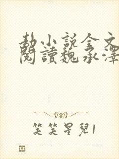 劫小说全文免费阅读魏承泽封面