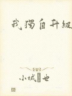 我独自升级漫画封面