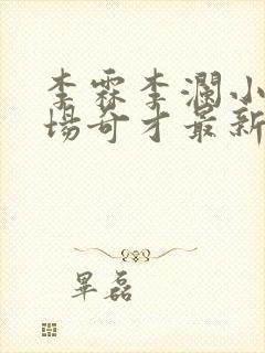 李霖李澜小说官场奇才最新更新