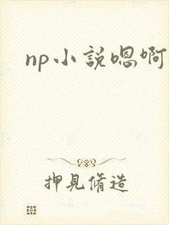 np小说嗯啊