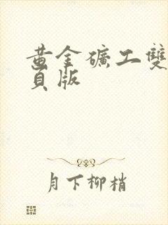 黄金矿工双人网页版