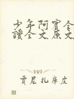 少年阿宾全文阅读全文原文